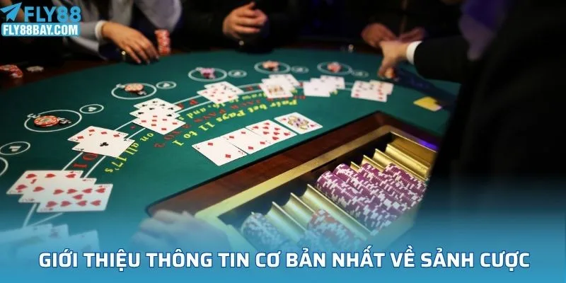 Giới thiệu thông tin cơ bản nhất về sảnh cược