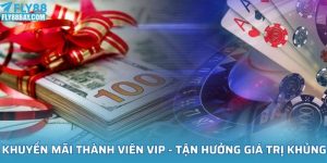 Khuyến mãi thành viên VIP