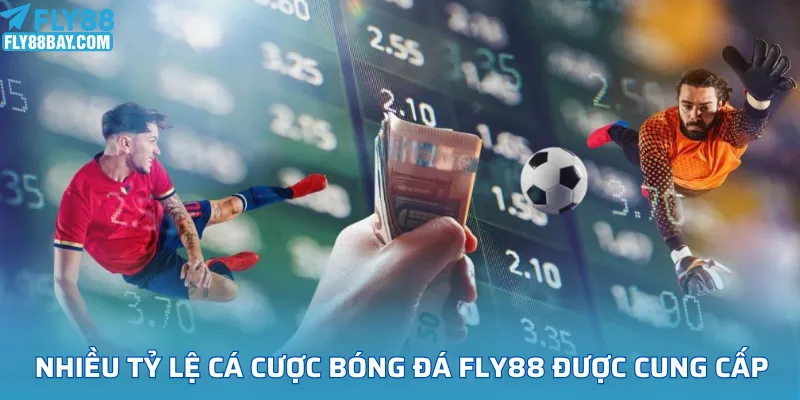 Nhiều tỷ lệ cá cược bóng đá FLY88 đang được cung cấp