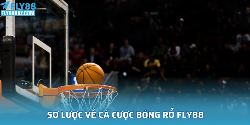 Sơ lược về cá cược bóng rổ Fly88